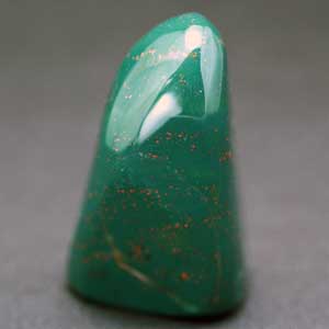 �V�R��,�T�t�@�C�A,����,���K�[��