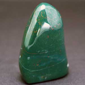 �V�R��,�T�t�@�C�A,����,���K�[��