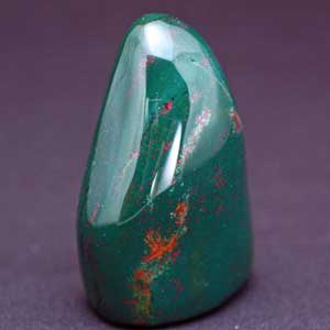 �V�R��,�T�t�@�C�A,����,���K�[��