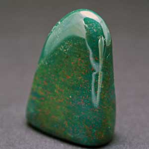 �V�R��,�T�t�@�C�A,����,���K�[��