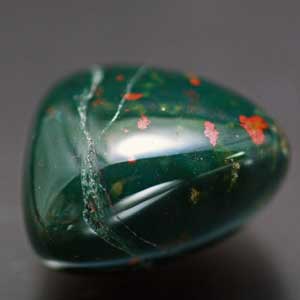 �V�R��,�u���b�h�X�g�[��,����,���K�[��