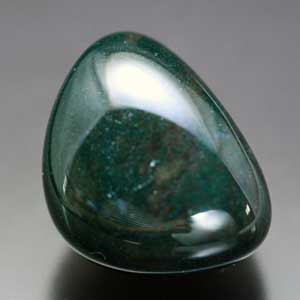 �V�R��,�u���b�h�X�g�[��,����,���K�[��