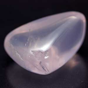 ���[�Y�N�I�[�c