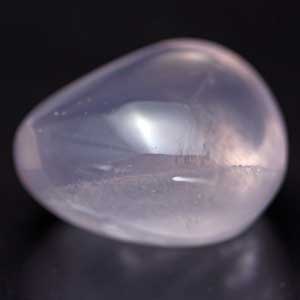 ���[�Y�N�I�[�c