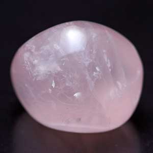 ���[�Y�N�I�[�c