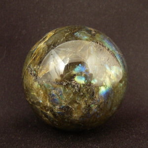 �V�R��,����,��,���K�[��