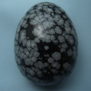 �V�R��,���K�[��,����,��