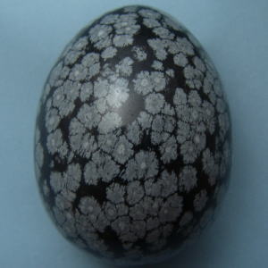 �V�R��,���K�[��,����,��