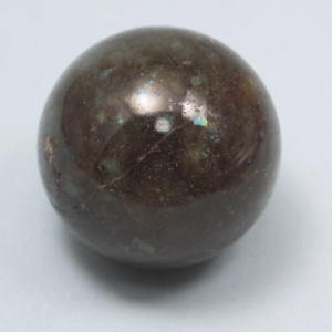 �V�R�΁E���u���g���C�g��