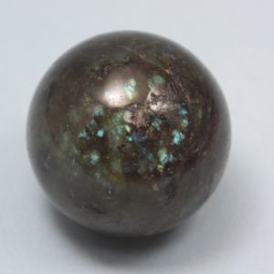 �V�R�΁E���u���g���C�g��