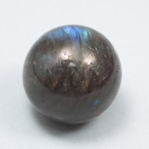 �V�R�΁E���u���g���C�g��