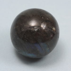 �V�R�΁E���u���g���C�g��