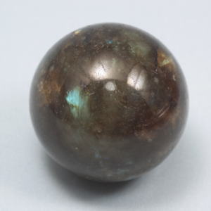 �V�R�΁E���u���g���C�g��