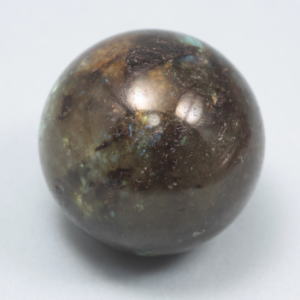 �V�R�΁E���u���g���C�g��