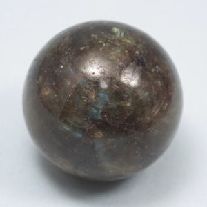 �V�R�΁E���u���g���C�g��